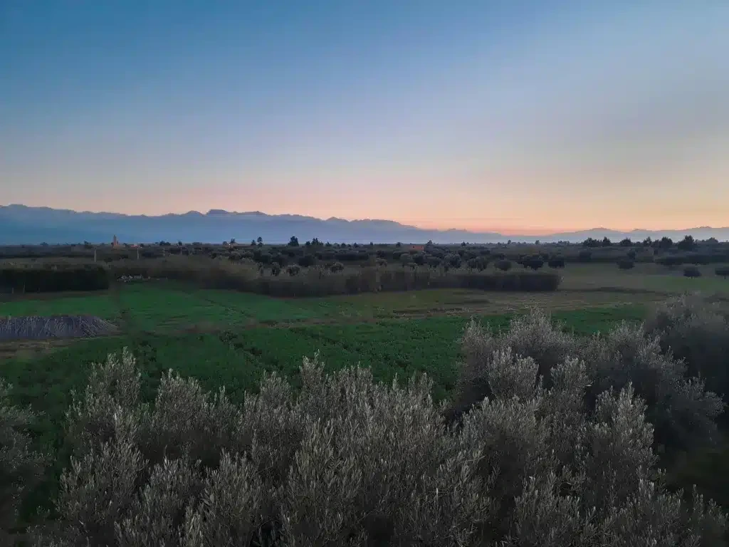 Agricultural Land Morocco: What Foreign Buyers Need to Know