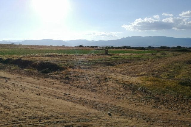 42-Hectare Development Land near Royal Golf and Al Maaden - 3