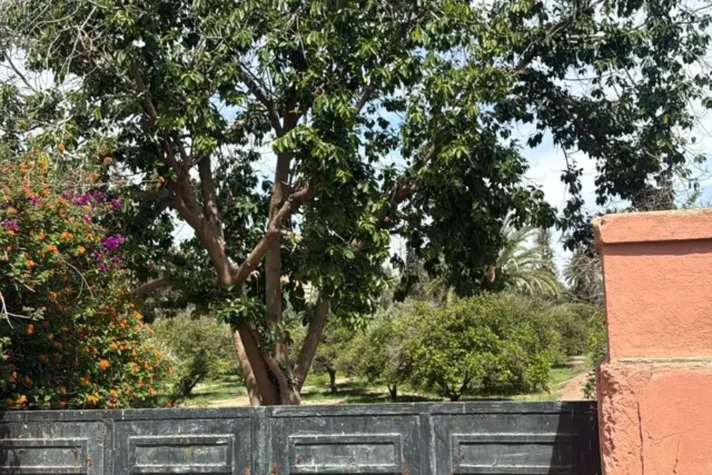 2,200 m² HV1 Residential Development Land in Gueliz-East - 2