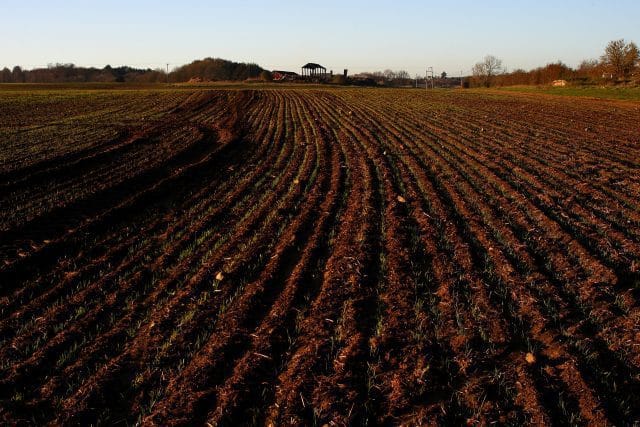 Titled Development Land in Chouiter, Marrakech - 2