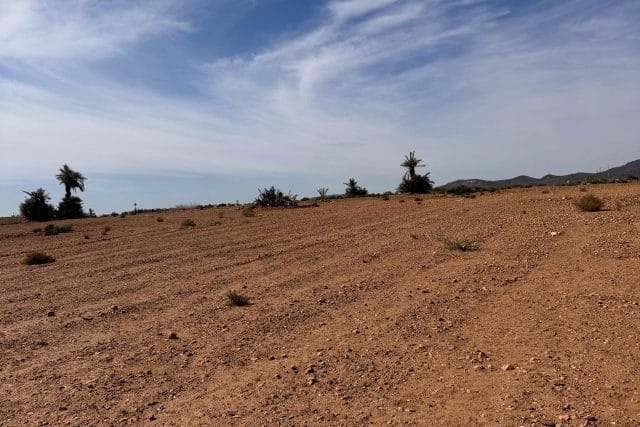 11,600 m² Residential Development Land near Dar Lamia — 2