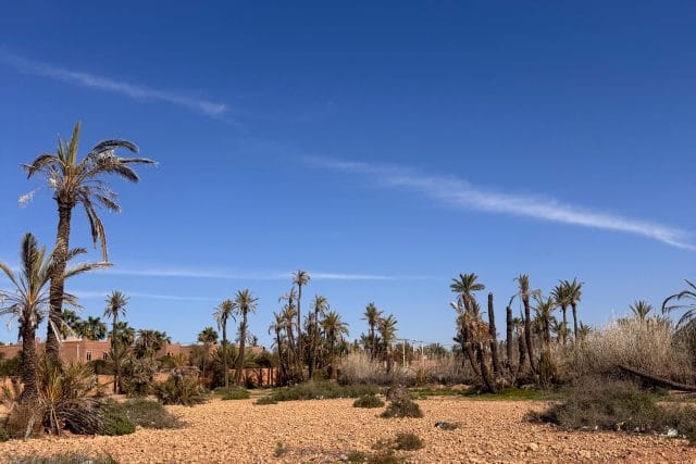 11,600 m² Residential Development Land near Dar Lamia — 3